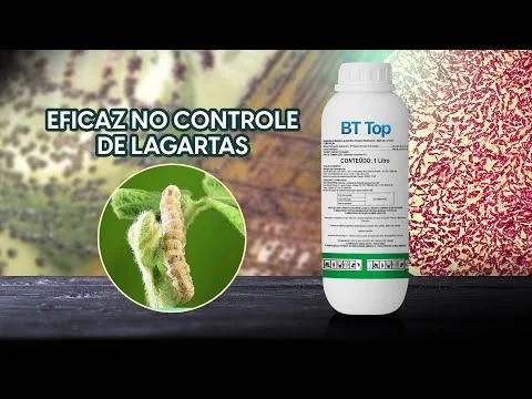 Biológicos BT Top