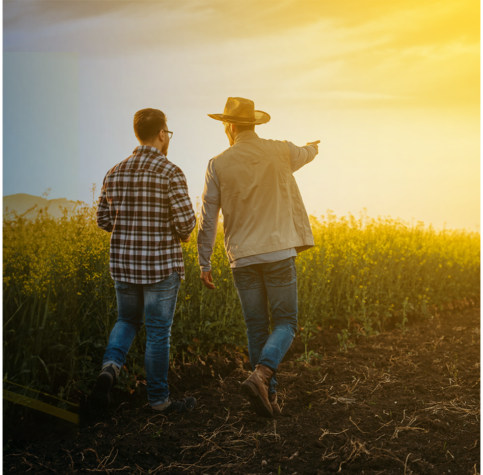 Consultores Produce no campo