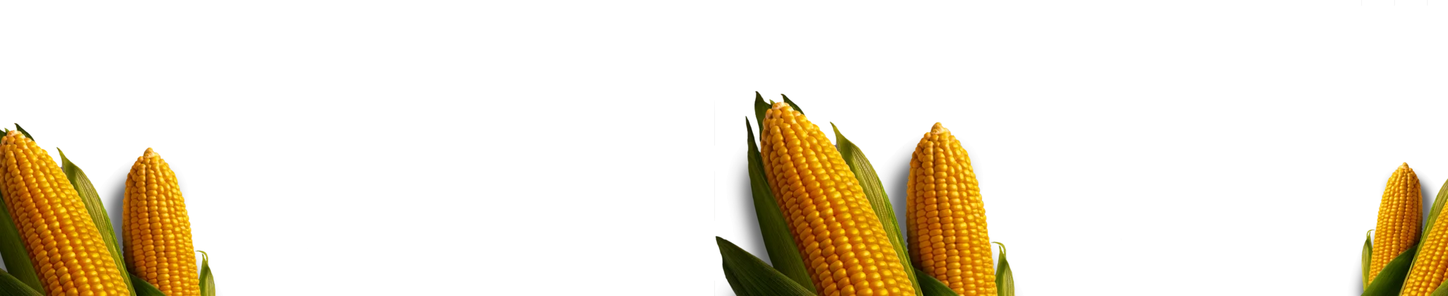 Elemento Milho Produce