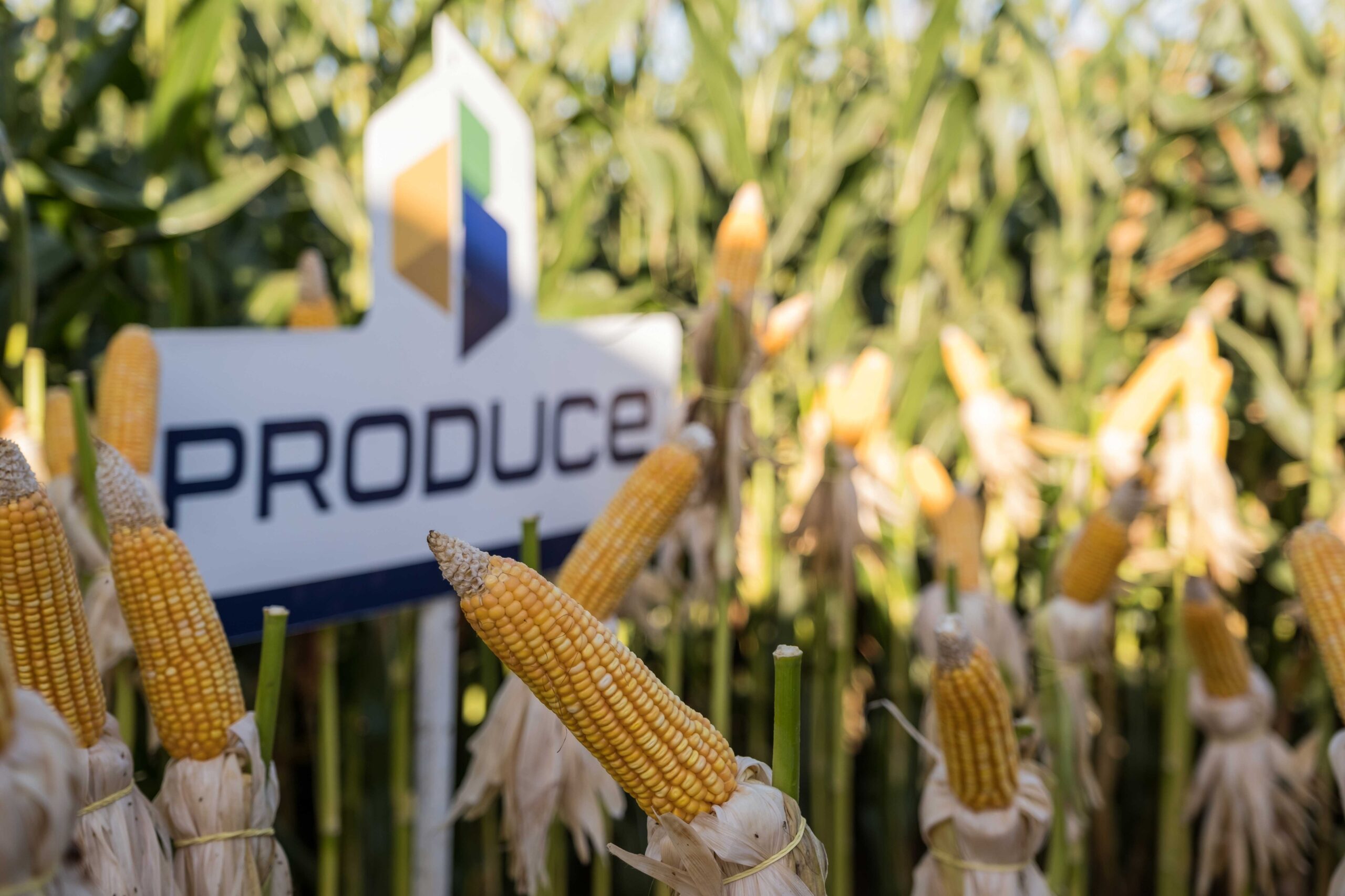 Coronel Produce 5